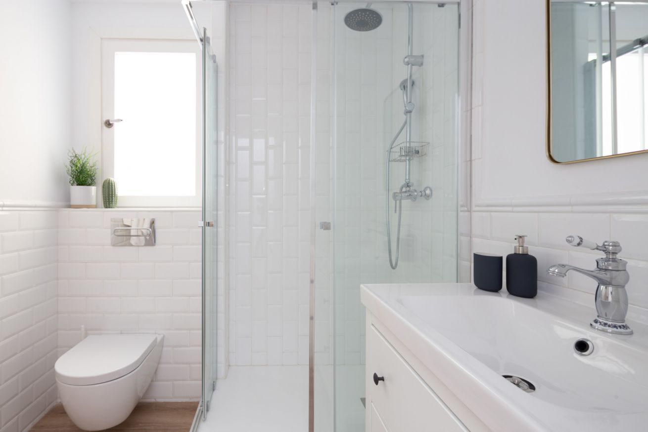 Une salle de bain moderne avec une douche en verre, des toilettes, un lavabo avec un miroir et une petite plante en pot.