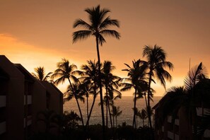 Exterior - White Sands Village #226 Updated, OceanViews, Elevators, Central AC! (Kailua-Kona)