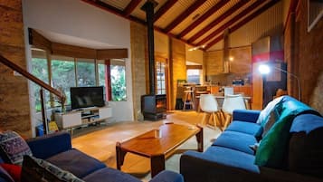 Televisión, chimenea, reproductor de DVD y libros