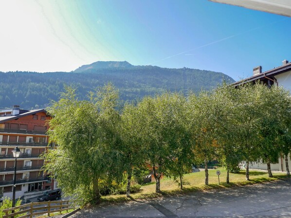 A residential area with a mountain in the background, a paved road, and a row of trees. - Cosy apartment for 9 guests with WIFI, TV and balcony (Basse-nendaz)