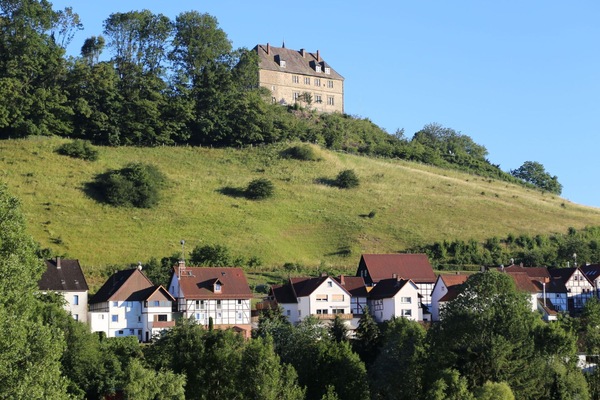 Himmel, Eigentum, Pflanze, Baum, Gebäude, Grundstueck, Steigung, Schatten, Asphalt, Holz