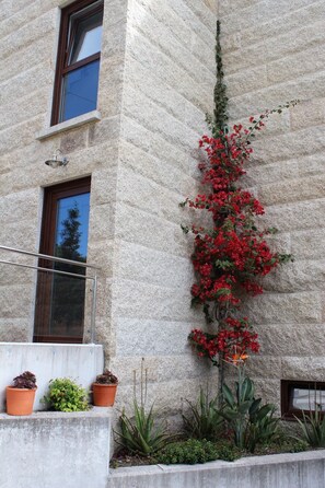 Detalle exterior