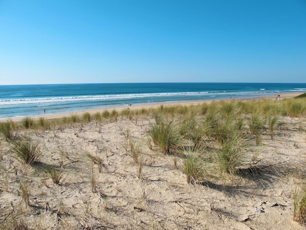 Strand