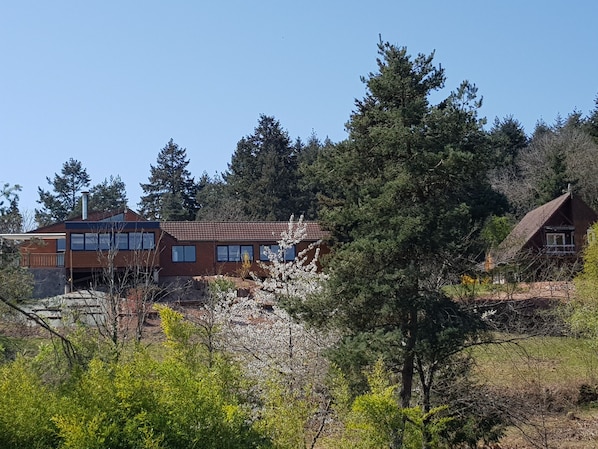 Une maison à deux étages, avec un toit recouvert de tuiles rouges, entourée d’une forêt dense.