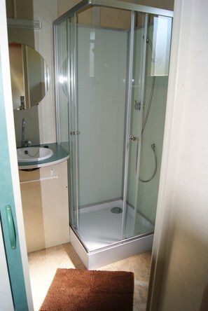 Bathroom features a glass-enclosed shower with handheld showerhead and wall-mounted faucet, a sink with countertop, and a mirror.
