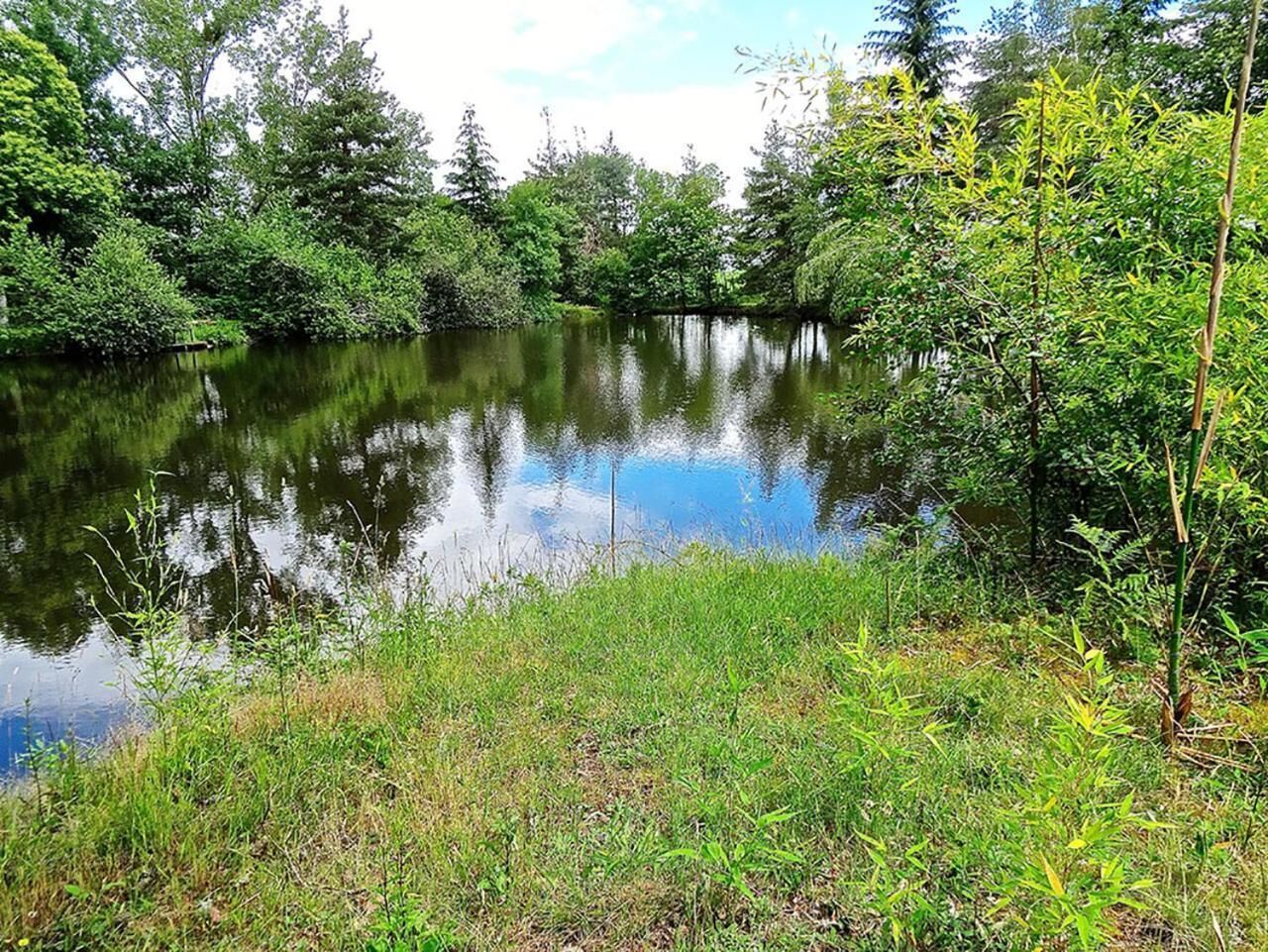 A calm lake surrounded by lush greenery and trees.