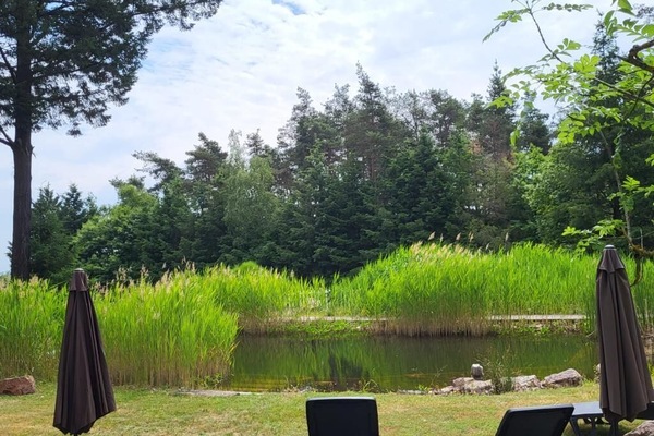 Outdoor pool, pool umbrellas, pool loungers