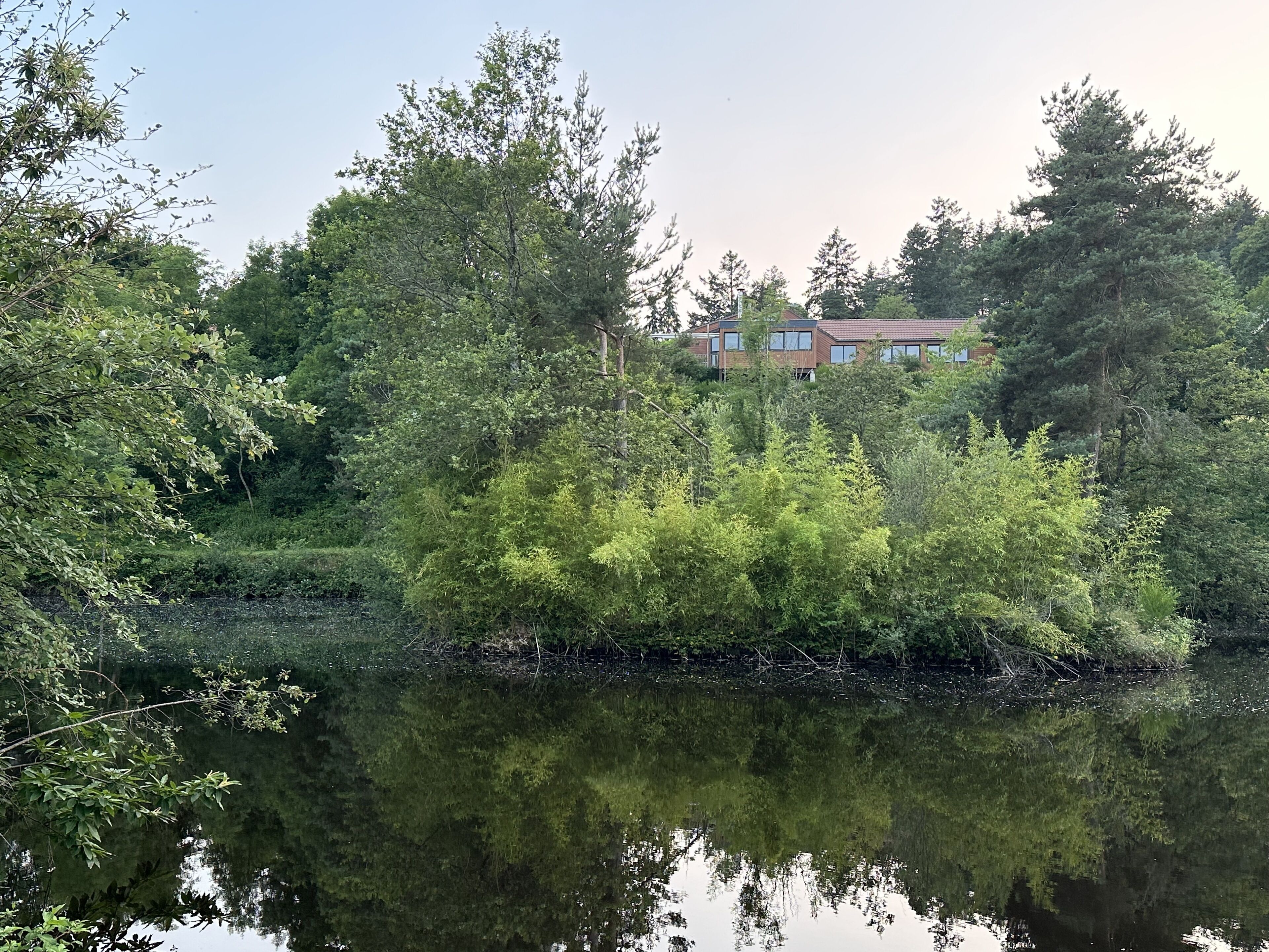 A house surrounded by dense trees and a calm body of water.