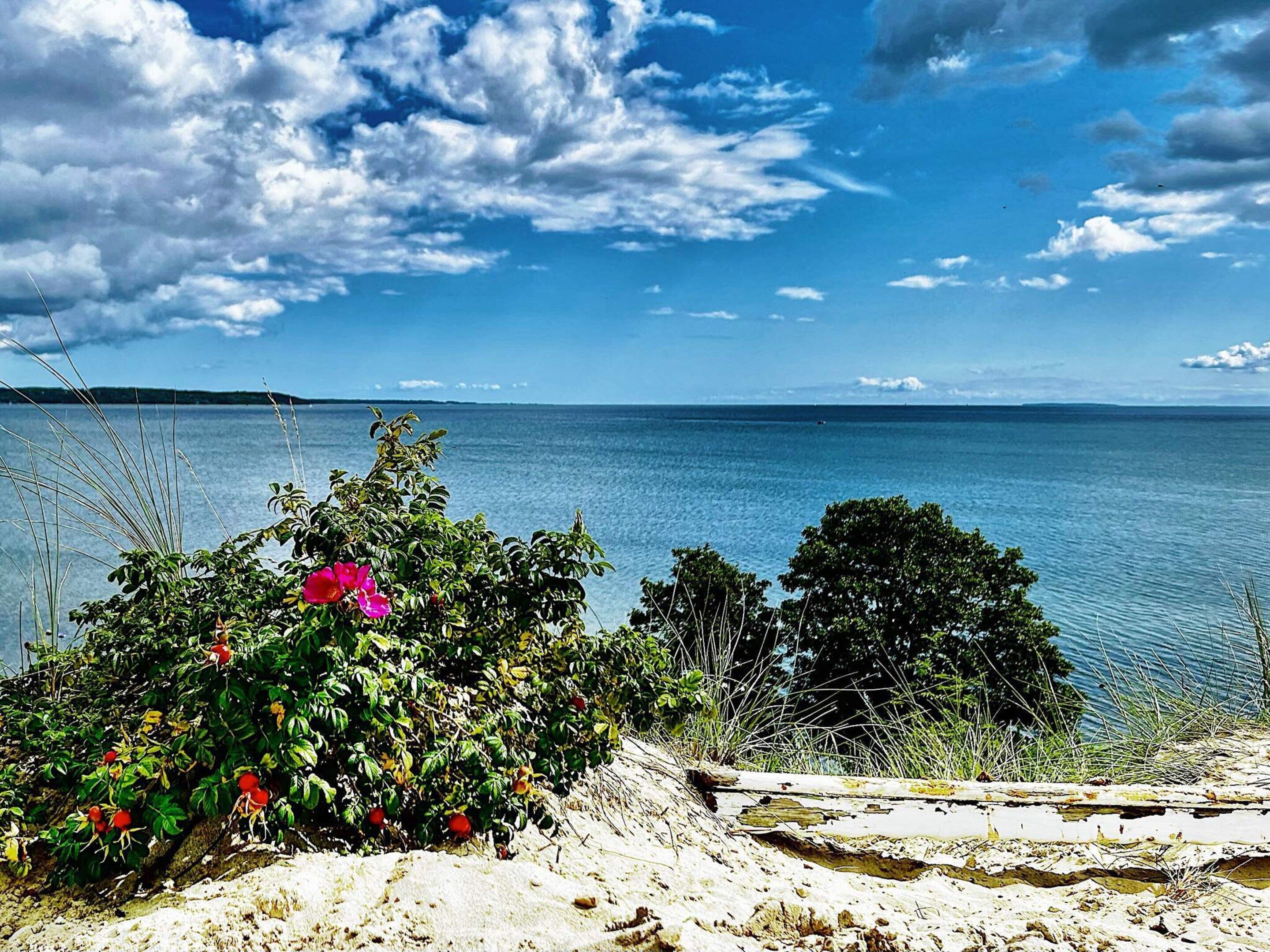 A coastal landscape with a clear view of the sea, a sandy beach, and some vegetation.