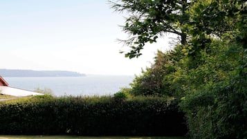 House | View from property