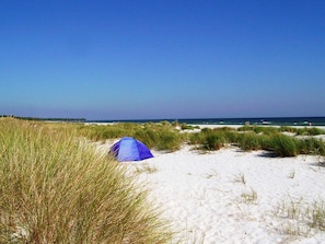 A tent on a sandy beach with dunes and a clear sky.