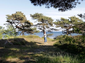 Une personne se tient sur un sentier herbeux, entourée d’arbres, et surplombe une étendue d’eau.