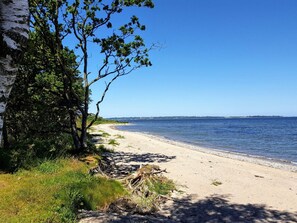 A beach with a clear sky, a sandy shore, and a tree line. - Pet-friendly Holiday Home in Roslev near Sea (Roslev)