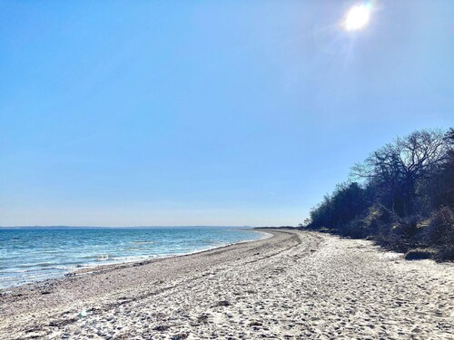 Pet-friendly Holiday Home in Roslev near Sea