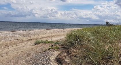 Pet-friendly Holiday Home in Roslev near Sea