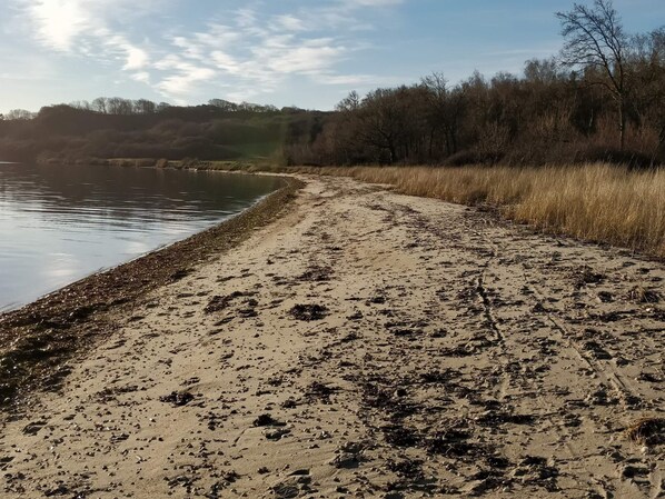 A sandy beach with water on one side and trees in the background.