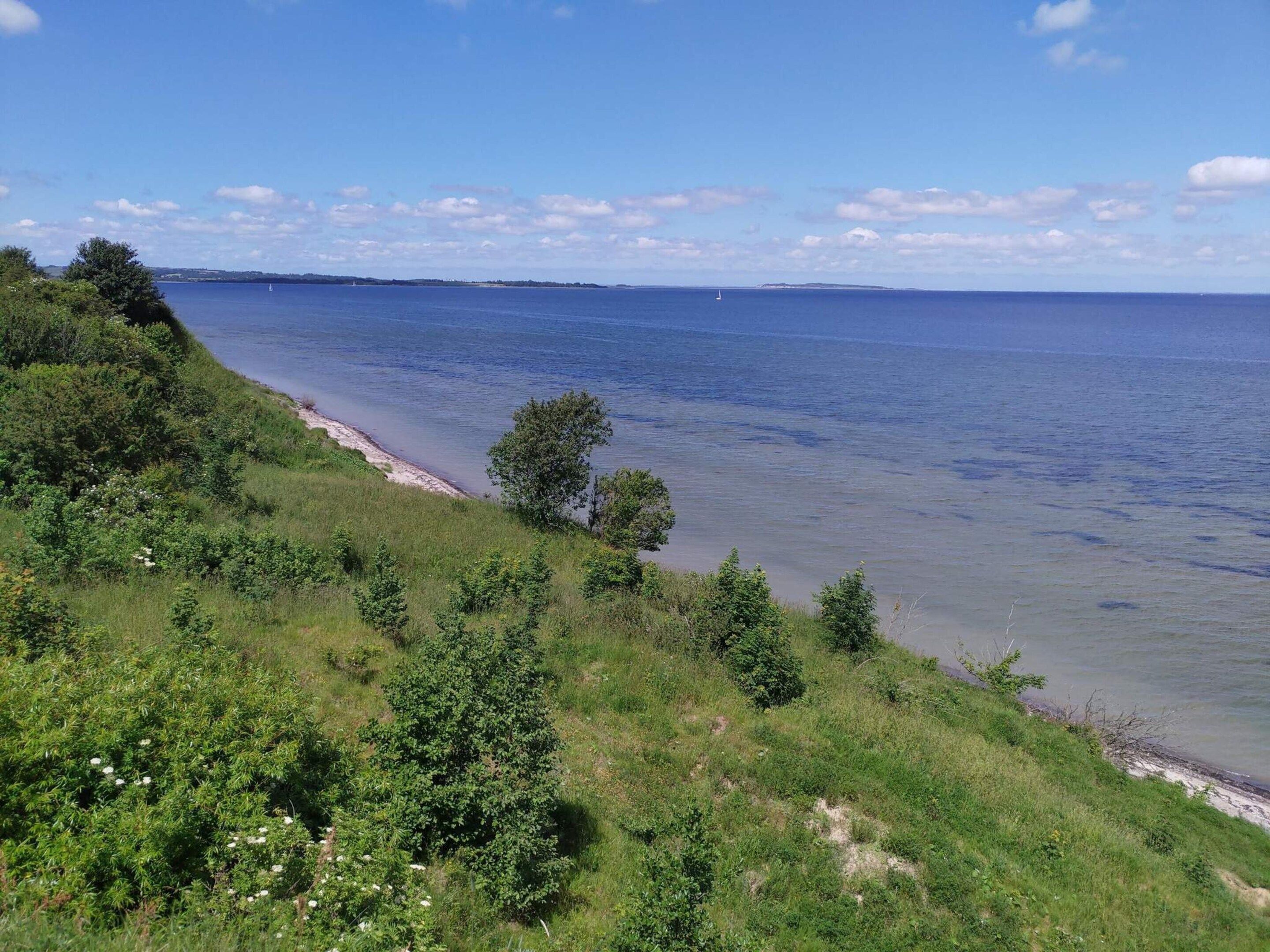 A coastal landscape with a beach, greenery, and a clear sky.