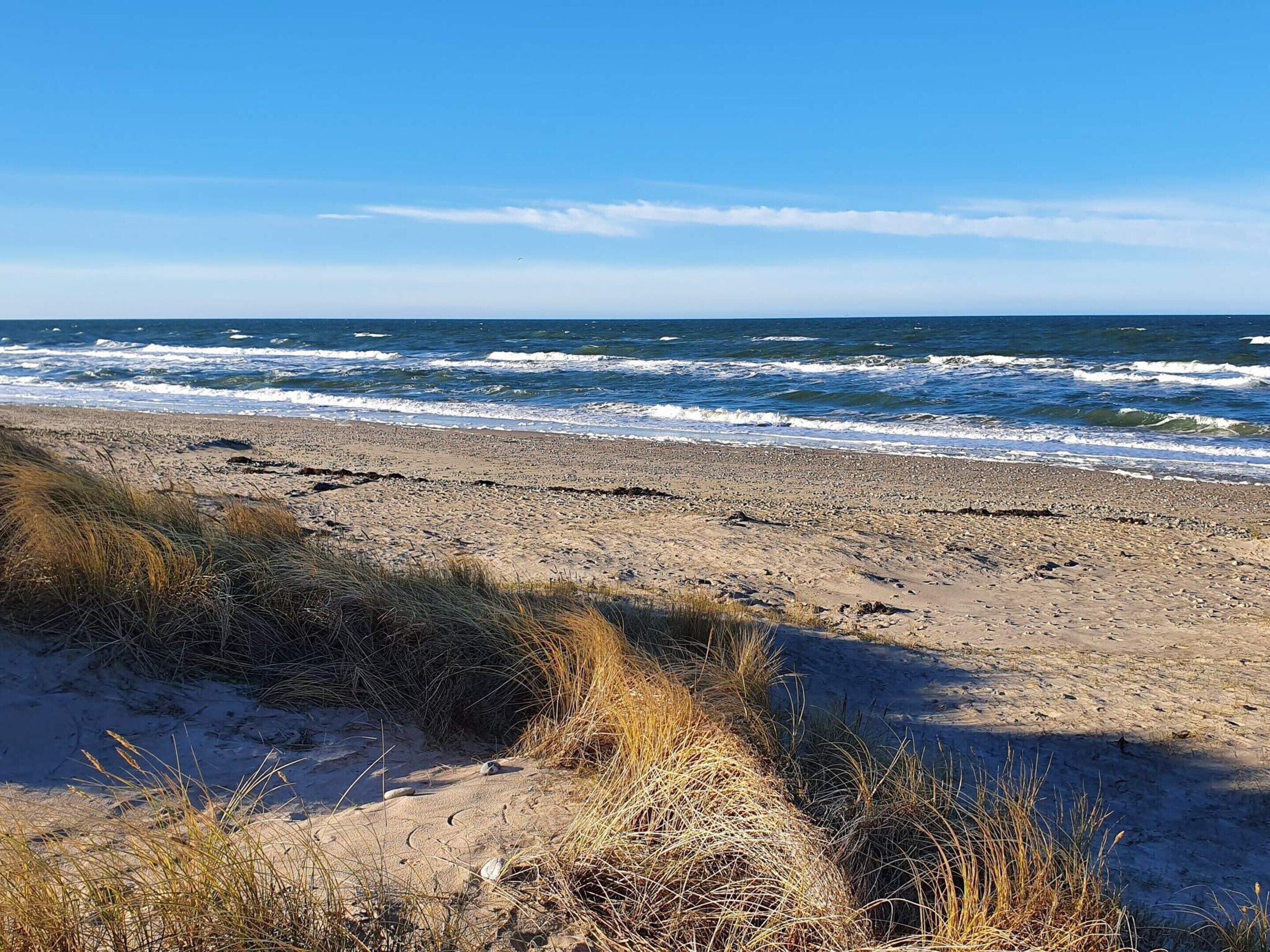Een strand met zand, gras en de oceaan.