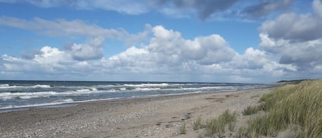 A beach with a pebbly shore, grassy dunes, and a partly cloudy sky.