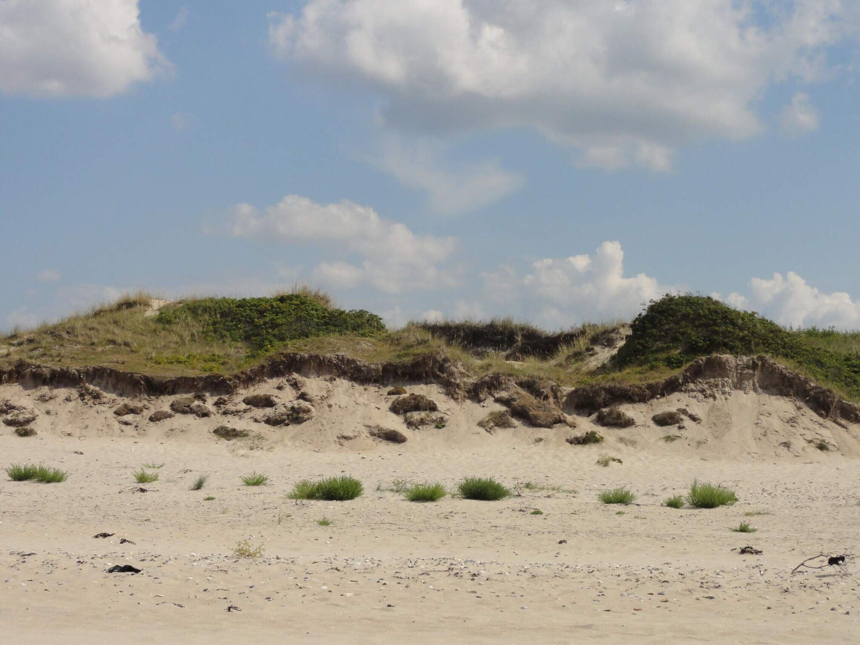House | Beach