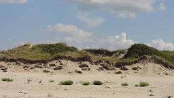 House | Beach