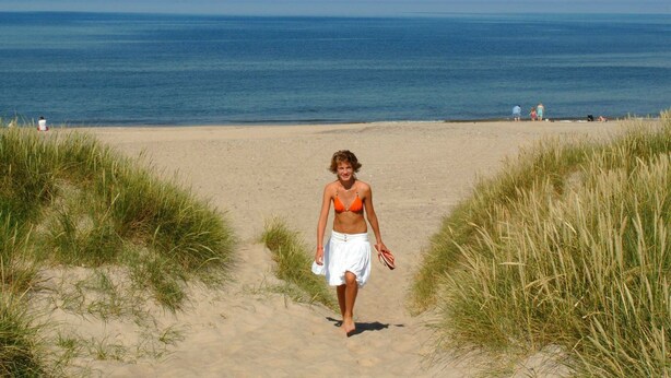 A sandy beach path with tall grass on either side, leading to the ocean. - Lovely Holiday Home in Lemvig with Hot Tub (Lemvig)