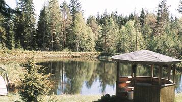 A wooden gazebo by a calm lake surrounded by dense forest.