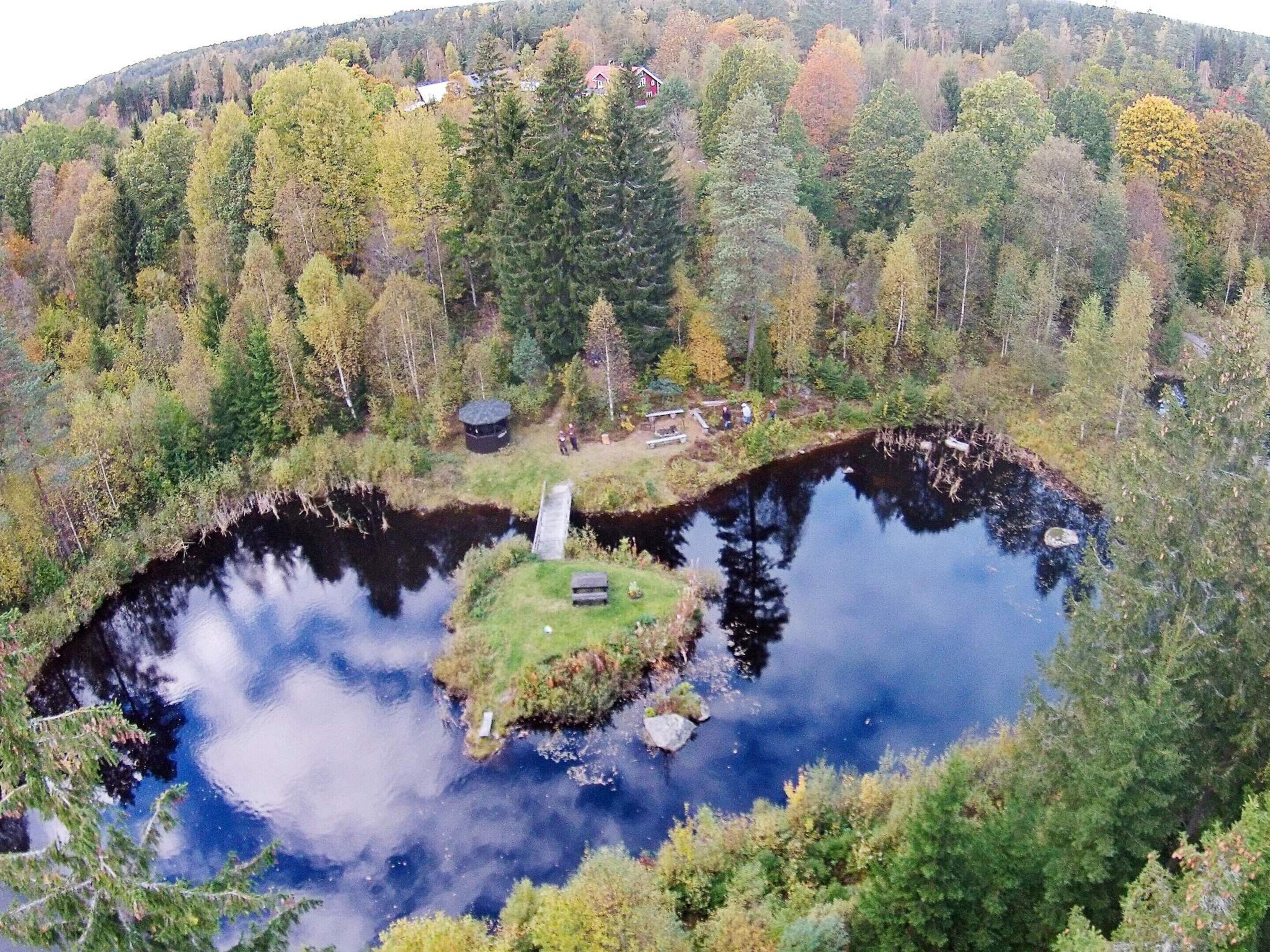 House | Aerial view