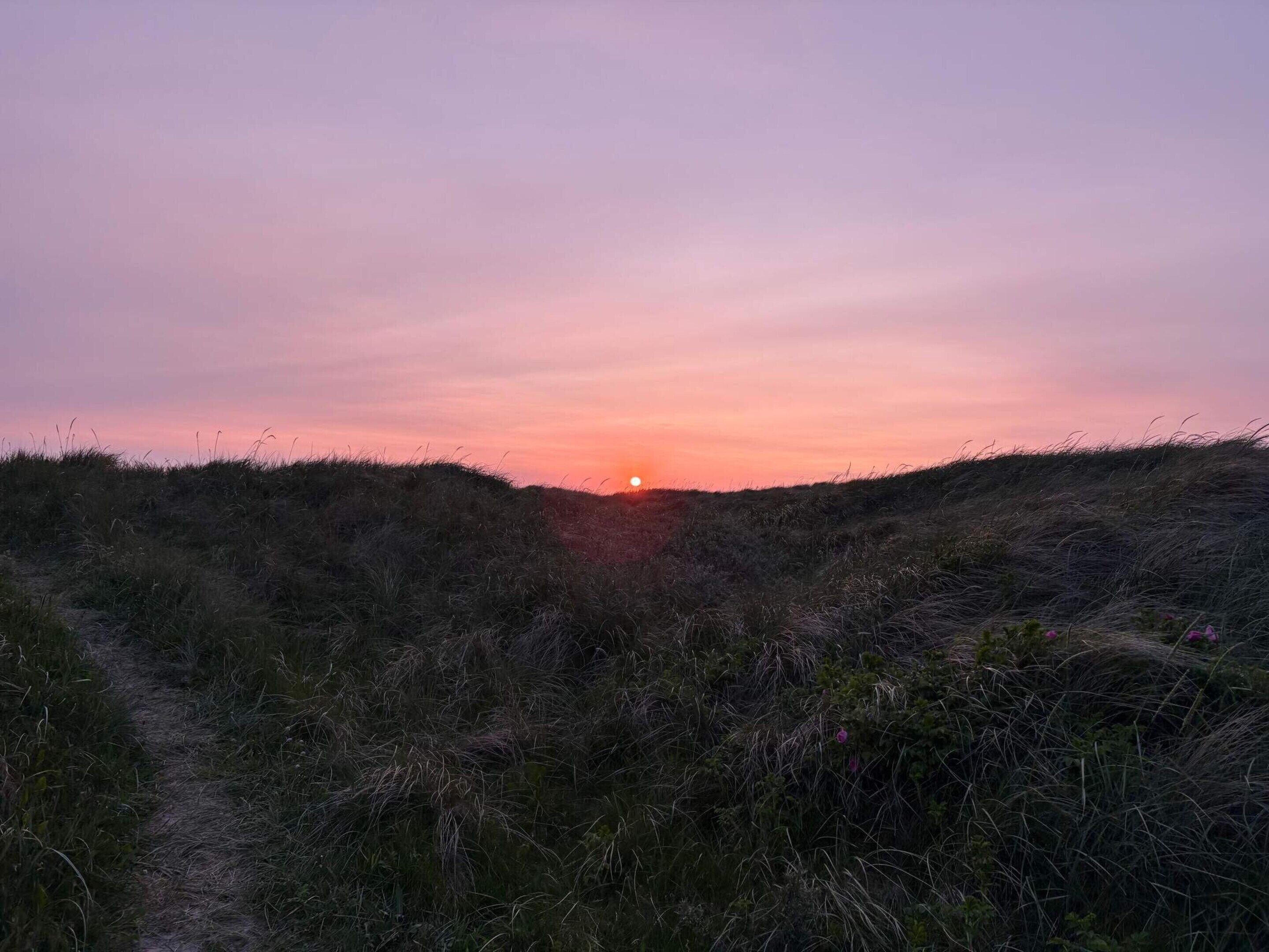 Un coucher de soleil sur un paysage verdoyant, avec un sentier qui le traverse.