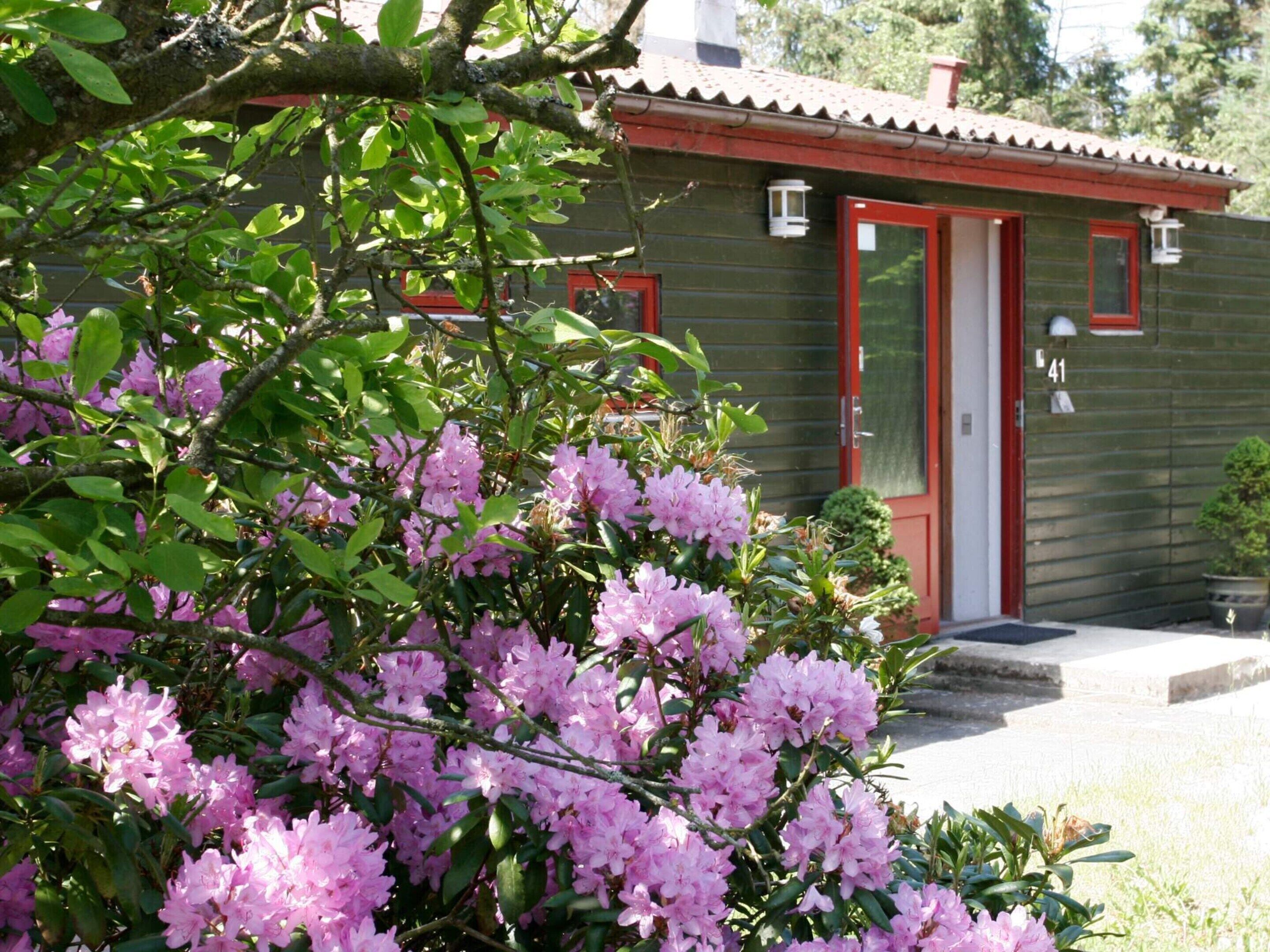 A building with a red door and windows, surrounded by green foliage and pink flowers.