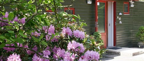 Un bâtiment avec une porte rouge et des fenêtres, entouré de verdure et de fleurs roses.