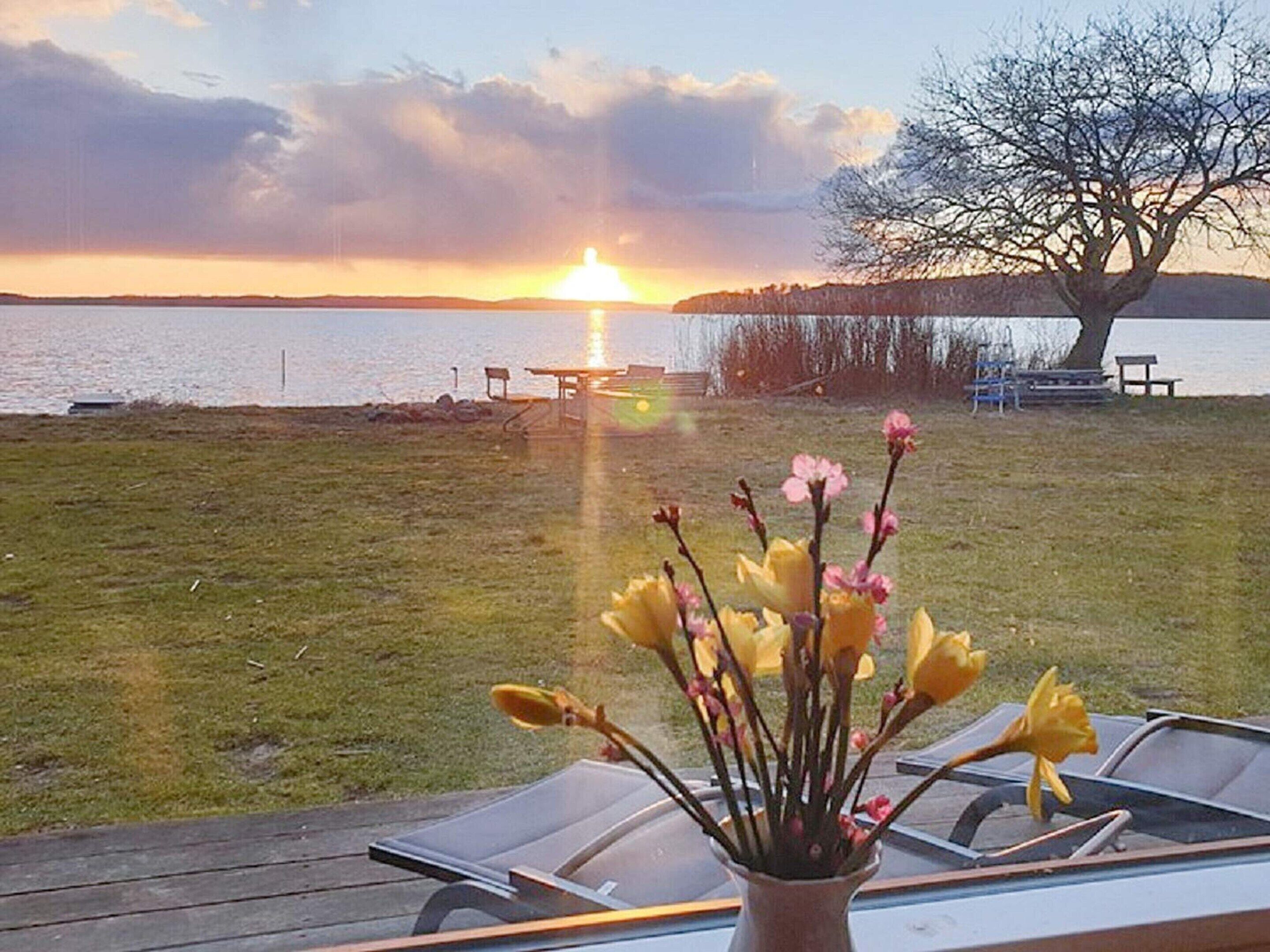 House | Water view