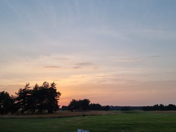 A grassy field with trees and a clear sky. - 6 Person Holiday Home in Degeberga (Degeberga)