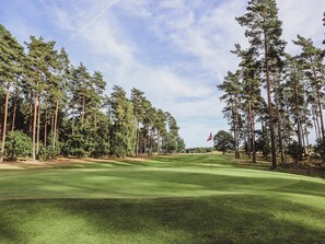 A golf course with a flagstick, surrounded by tall trees and a clear sky. - 6 Person Holiday Home in Degeberga (Degeberga)
