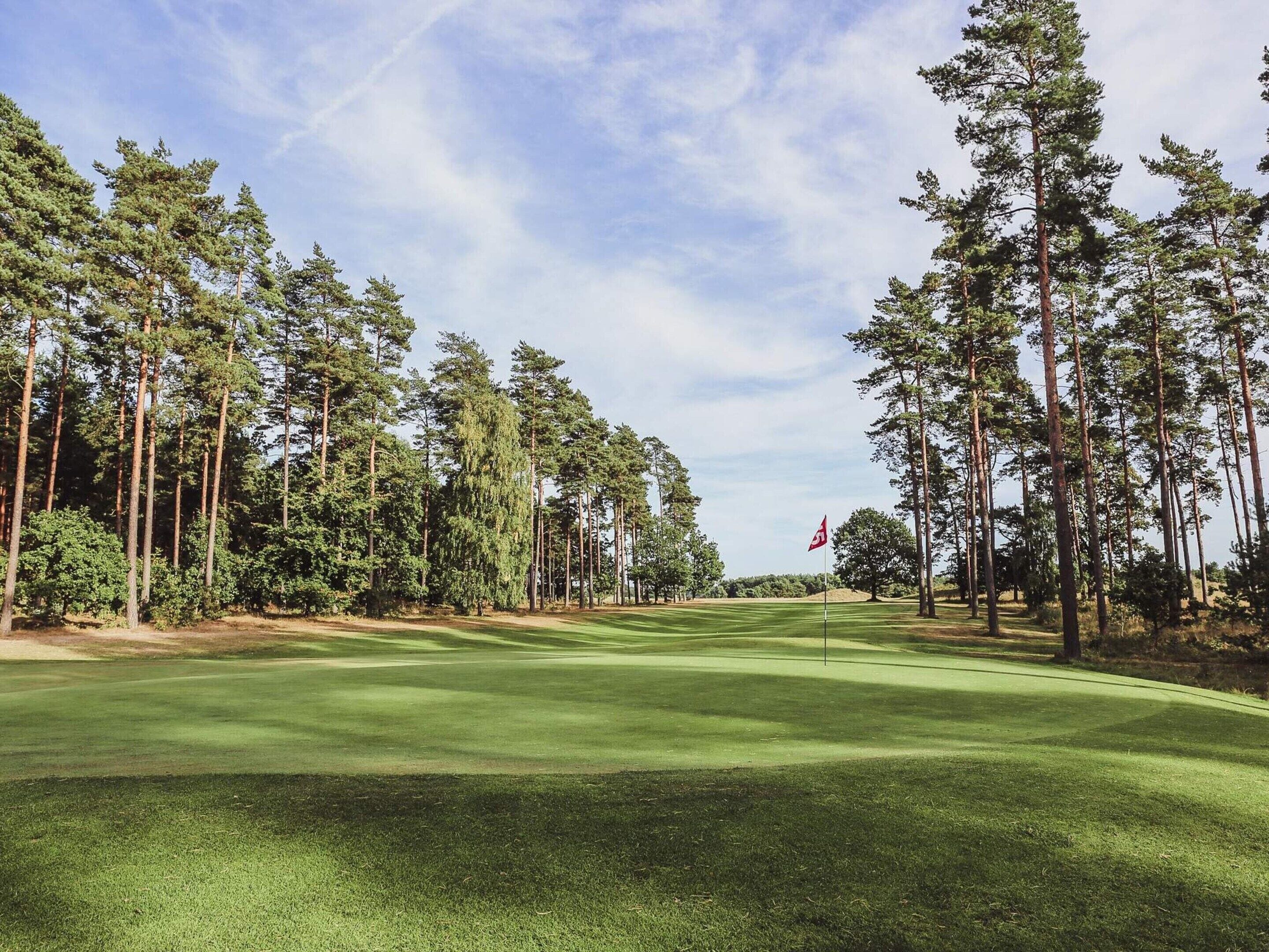 A golf course with a flagstick, surrounded by tall pine trees and a clear sky.