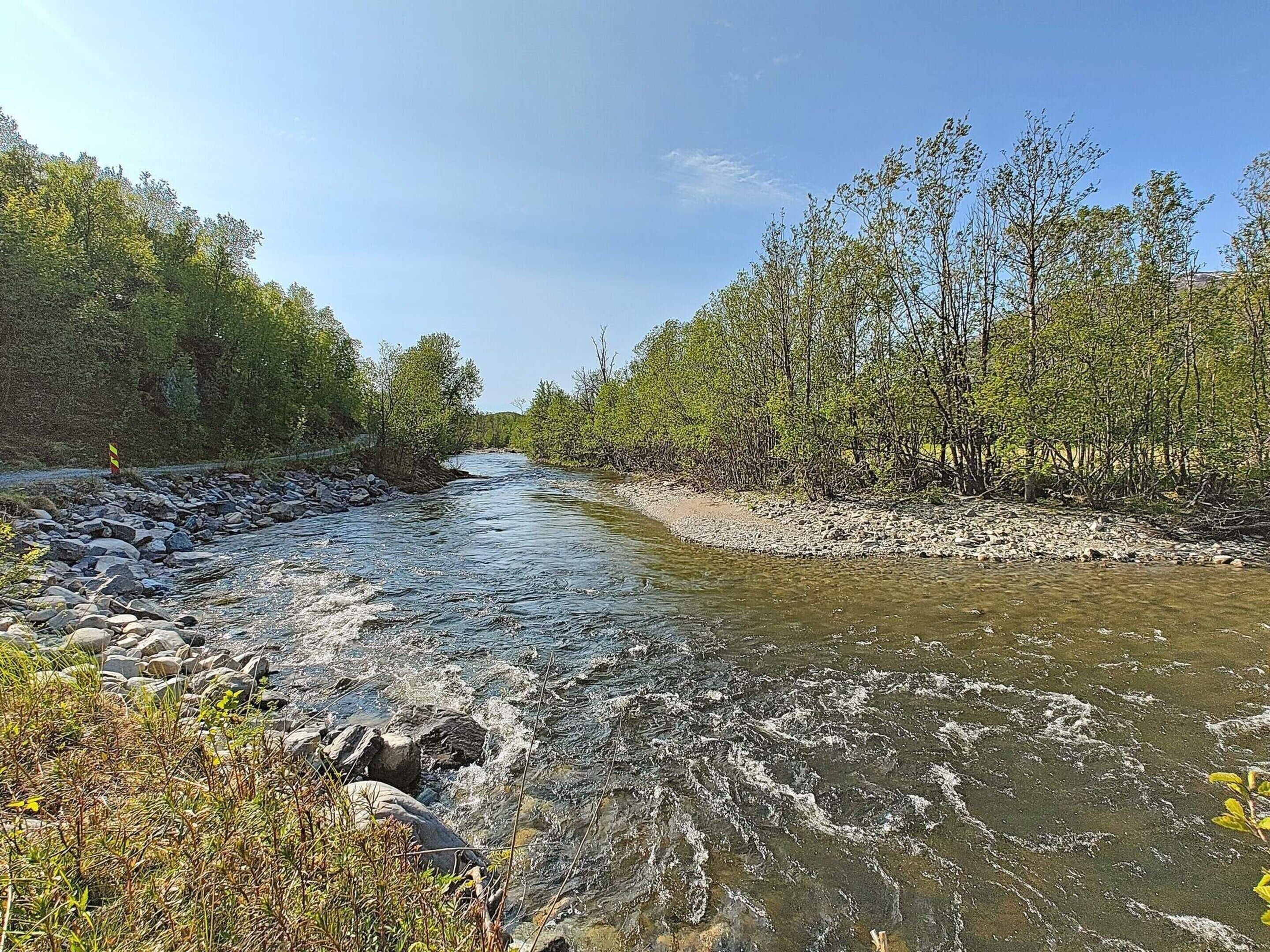 Ein Fluss fließt durch ein bewaldetes Gebiet mit steinernen Ufern und dichtem Baumbestand.