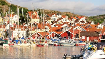 A harbor with multiple boats and a row of houses with red roofs.
