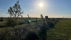 A grassy field with a fence, a few trees, and a clear sky. - 5 Star Holiday Home in Hals (Asaa)
