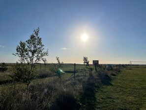 Un campo cubierto de césped con una cerca, algunos árboles y cielo despejado.
