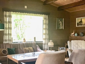 Fireplace, DVD player