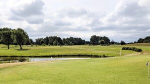 Un campo de golf con un estanque, árboles y una bandera en un asta.