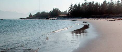 House | Beach | Beach nearby, fishing