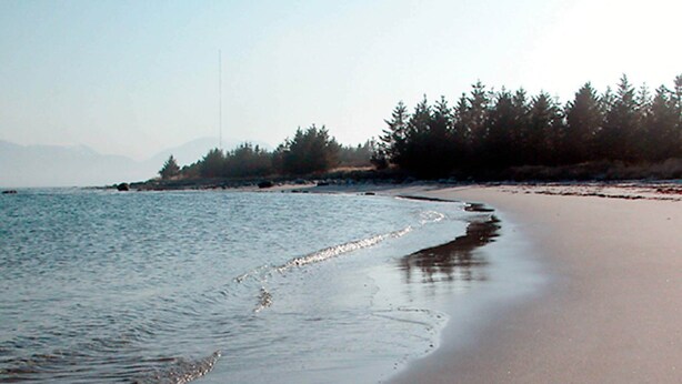 A beach with a calm sea, sandy shore, and a line of trees in the background. - 4 Star Holiday Home in Fjortoft (Ålesund)