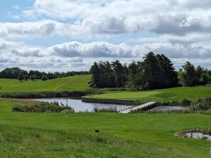 Uklassifisert bilde, 3 av 40, knapp