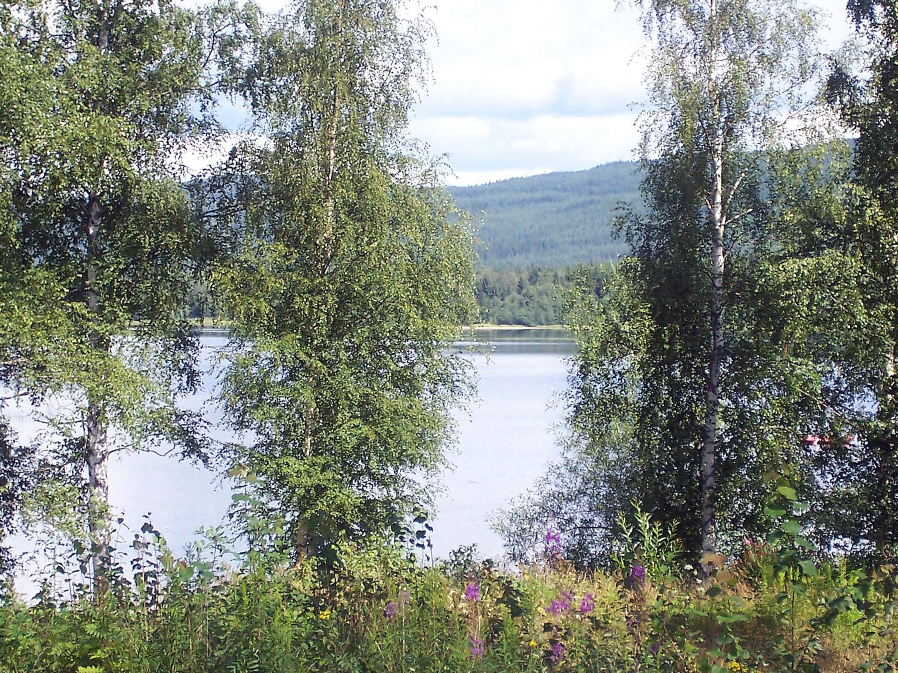 A lake surrounded by dense trees and hills in the background.