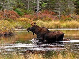 独立别墅 | 其他