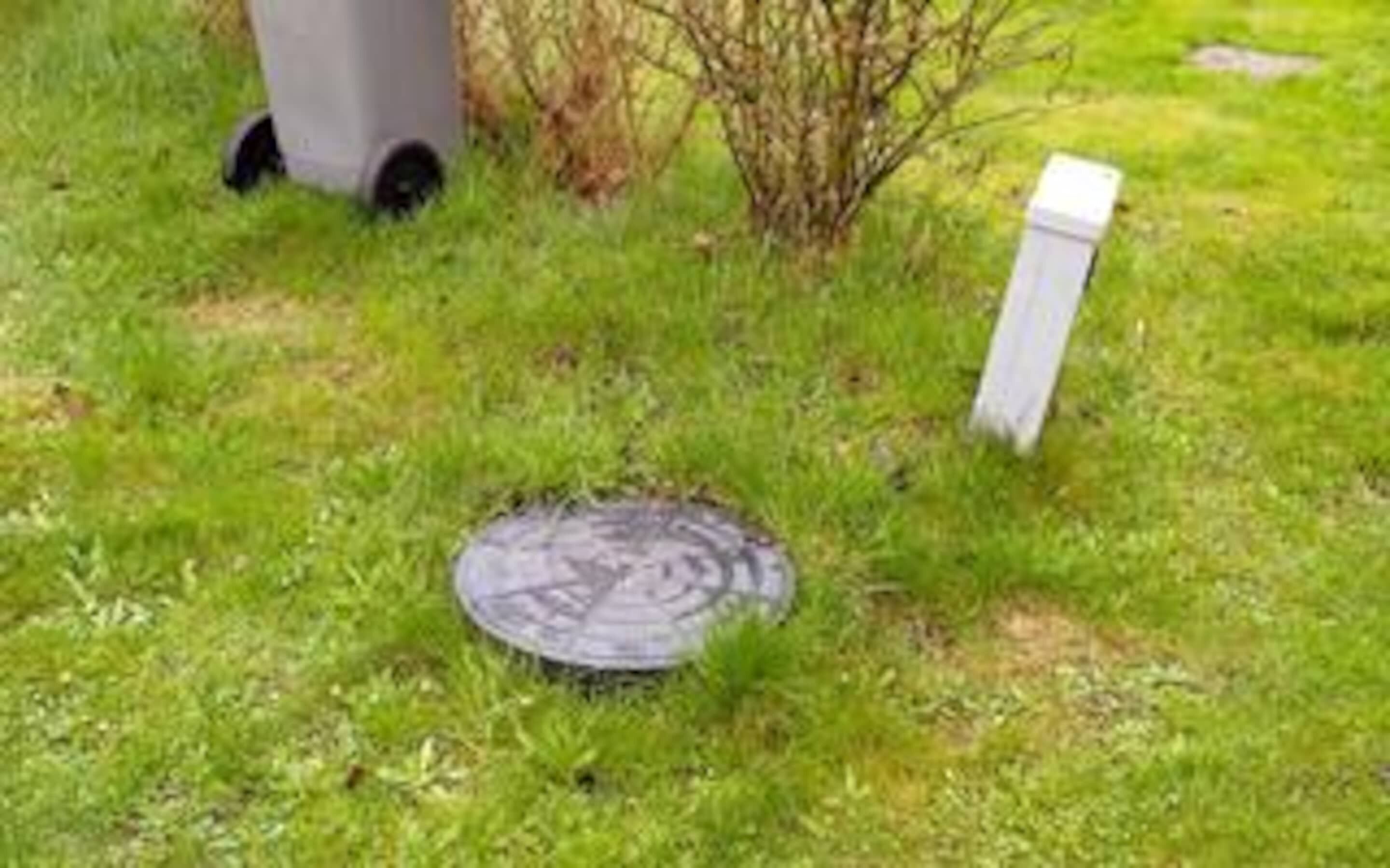 House | Property grounds