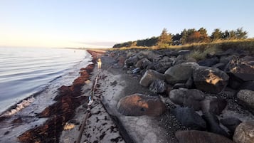 A rocky shoreline with a calm sea, a clear sky, and a distant view of land.