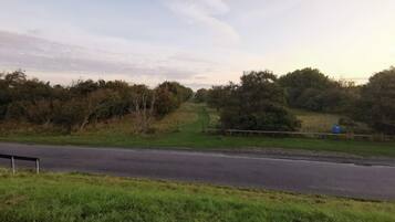 A rural road with grassy areas and trees on both sides.