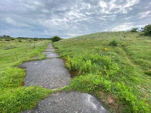 Un camino rural de piedra, rodeado de campos verdes y un cielo nublado.